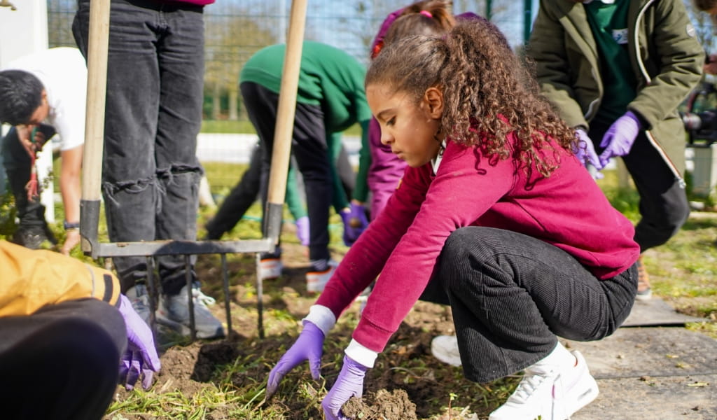 responsabilite progressive Sartrouville